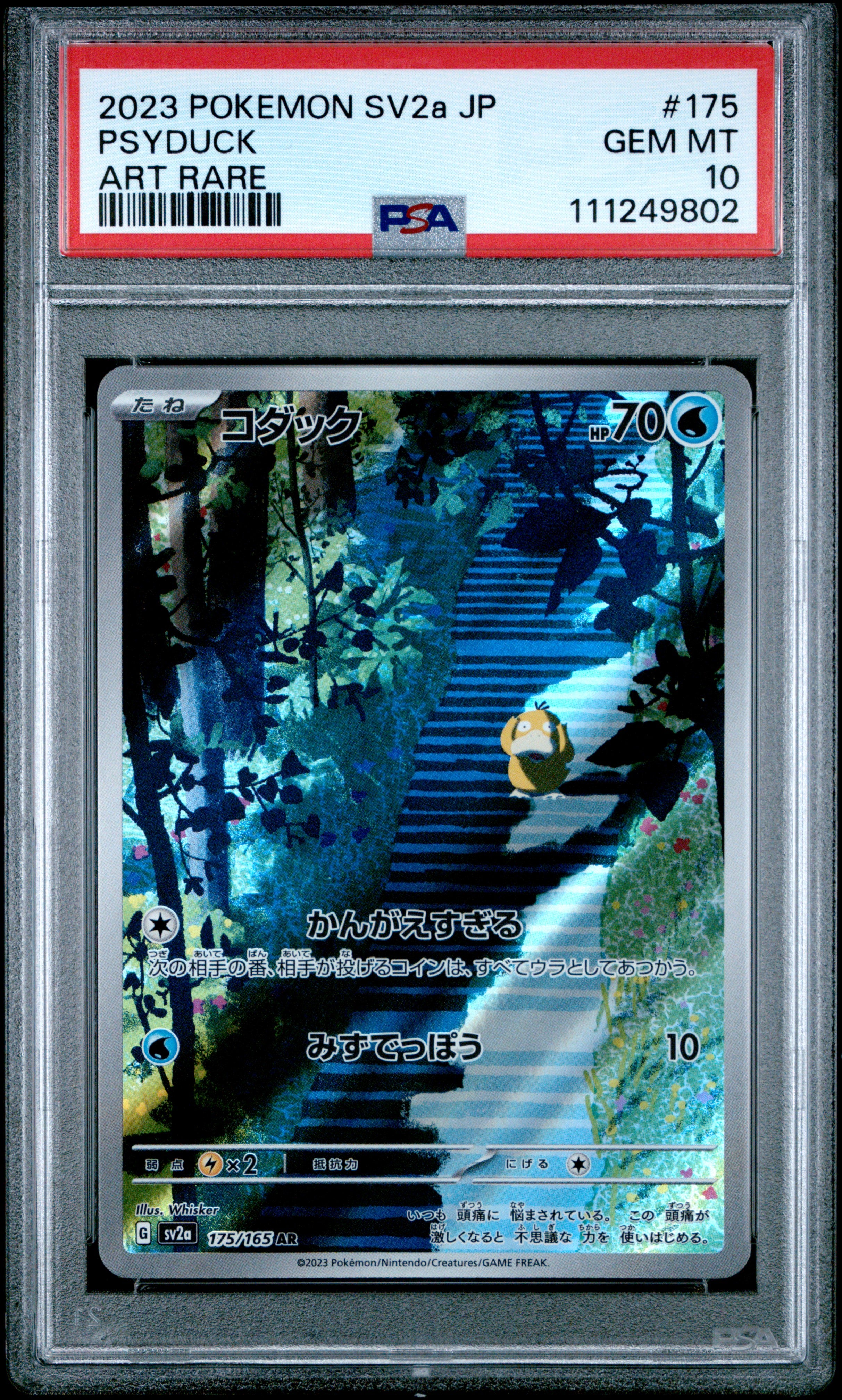 27100514-front.jpg?v=