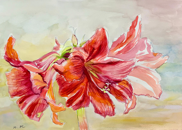 ハナミズキ」 by 水森 なる｜Artmeter｜暮らしを彩るアートが、きっと