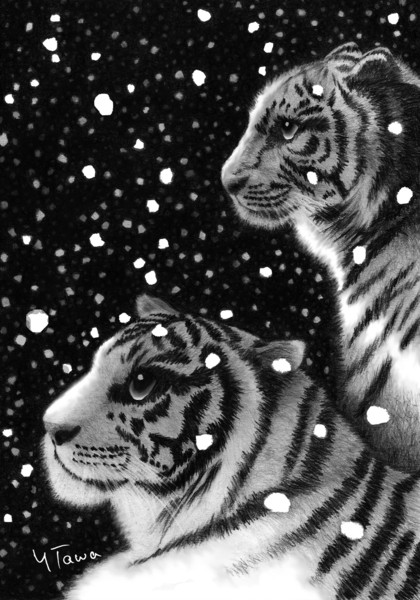 冬うー特価』 Aykid Tiger アイキッド タイガー 絵画 油絵 オススメ