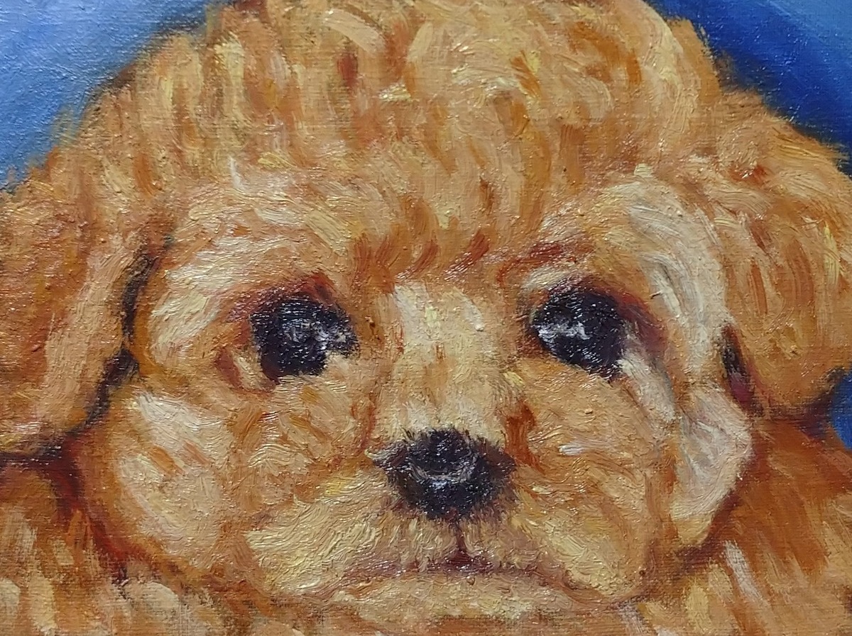 トイプードル」 by 中坪和美｜Artmeter｜暮らしを彩るアートが、きっと