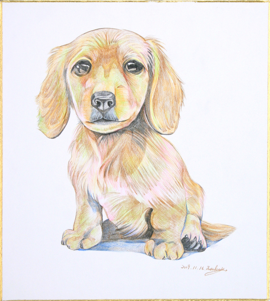 ミニチュアダックスフンド」 by 晶｜Artmeter｜暮らしを彩るアートが