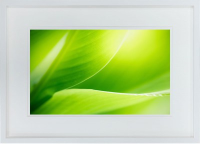 花（A3額装）|アート＆フレーム|絵と額縁の専門店