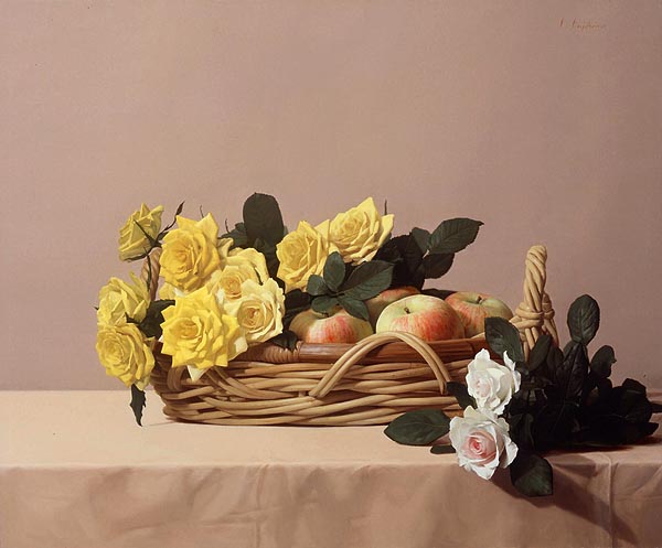 藤原秀一 Shuichi FUJIHARA