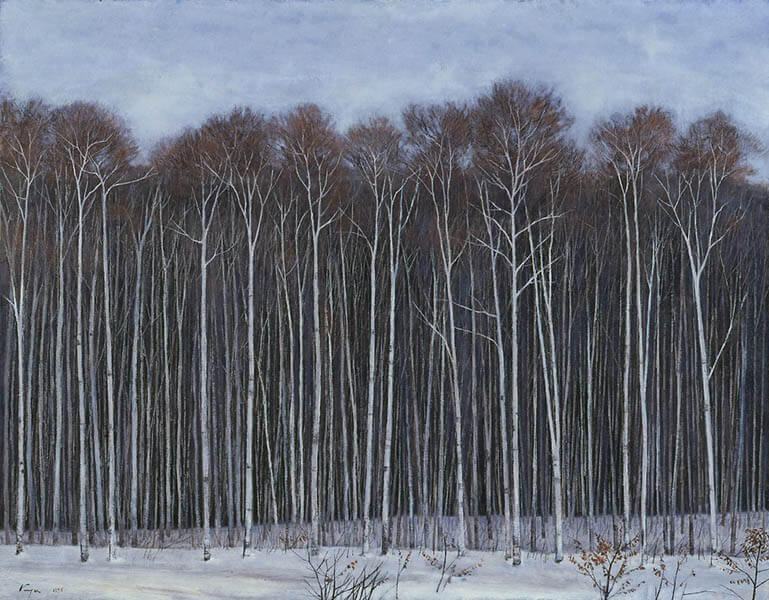 コレクション大公開 相原求一朗展 アンコール | 川越市立美術館