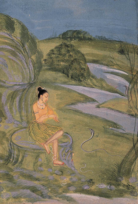 インド細密画 | 府中市美術館 | 美術館・展覧会情報サイト アート