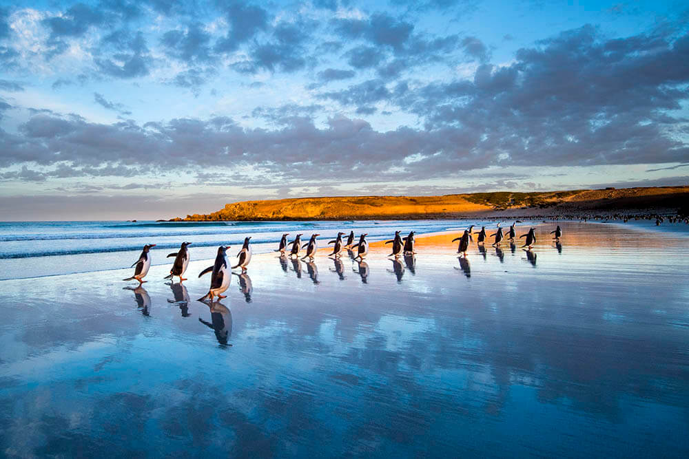 高砂淳二写真展 －この惑星(ほし)の声を聴く－ | 美術館「えき」KYOTO