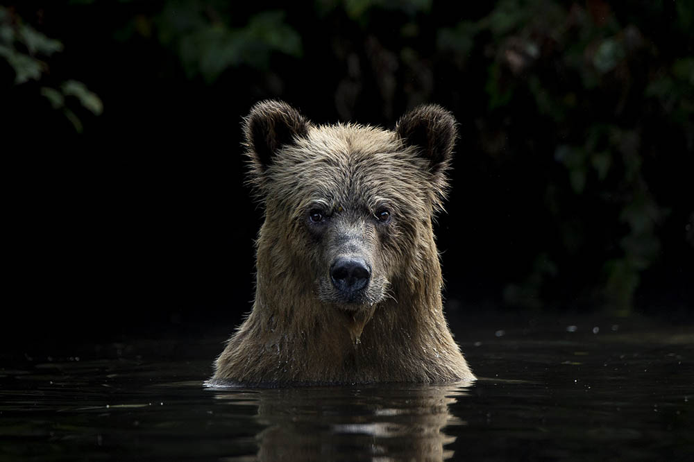 高砂淳二写真展 －この惑星(ほし)の声を聴く－ | 美術館「えき」KYOTO