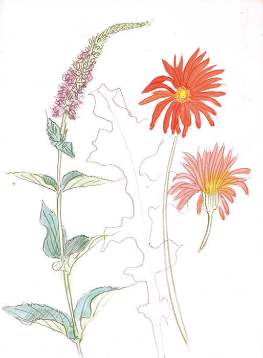 染色家の絵心 芹沢銈介の肉筆画 | 静岡市立芹沢銈介美術館 | 美術館