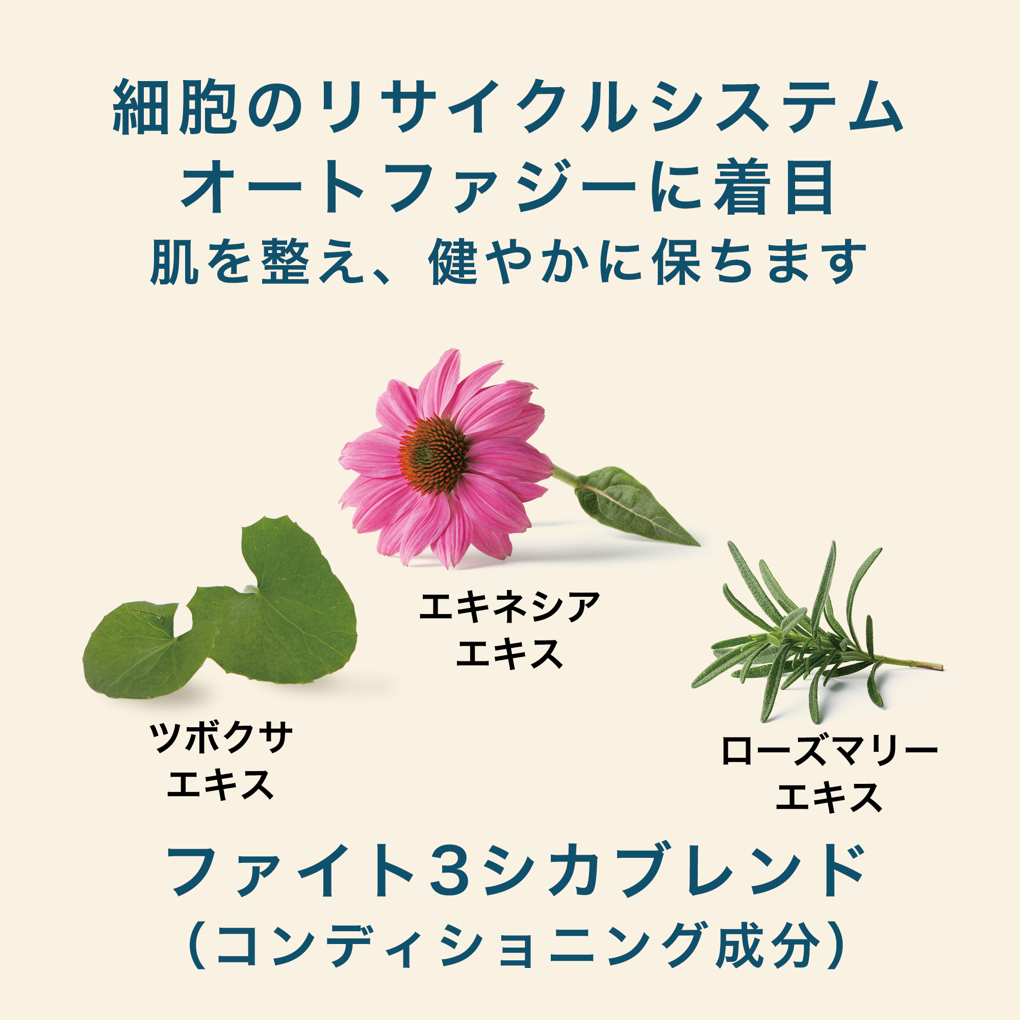 インテンシブ‐プロ 14ナイツ リペアシリーズ | アーティストリー