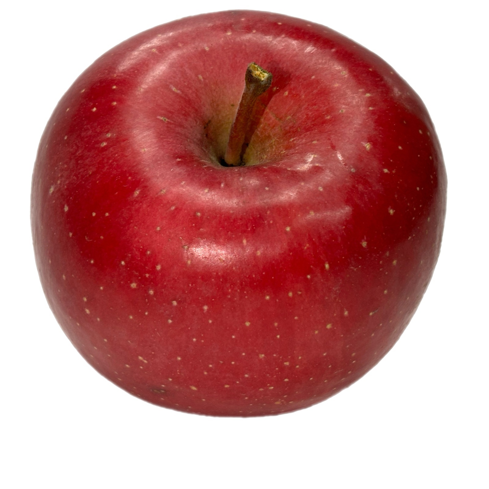 弘前ふじ 青森県産りんご 2026年10月発送開始