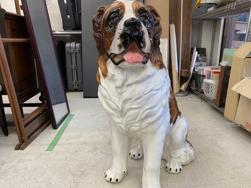等身大のセントバーナードです。 | 京都のリサイクルショップ アーク京都