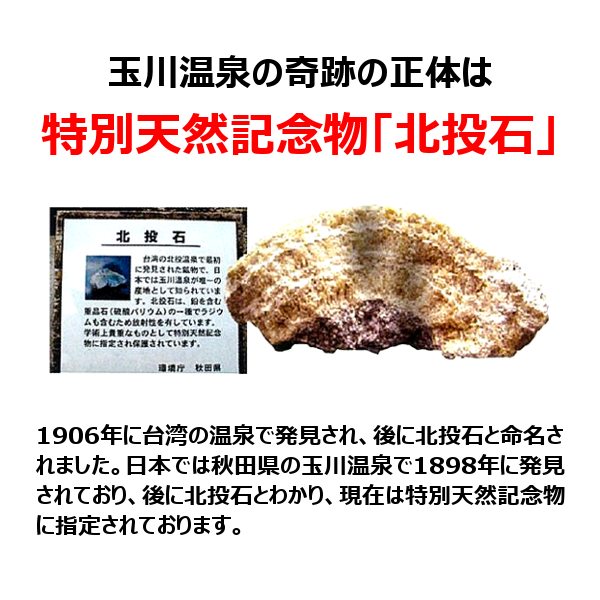 甚の湯 家庭用温浴器 秋田県玉川温泉・湯の花+トルマリン 山甚物産