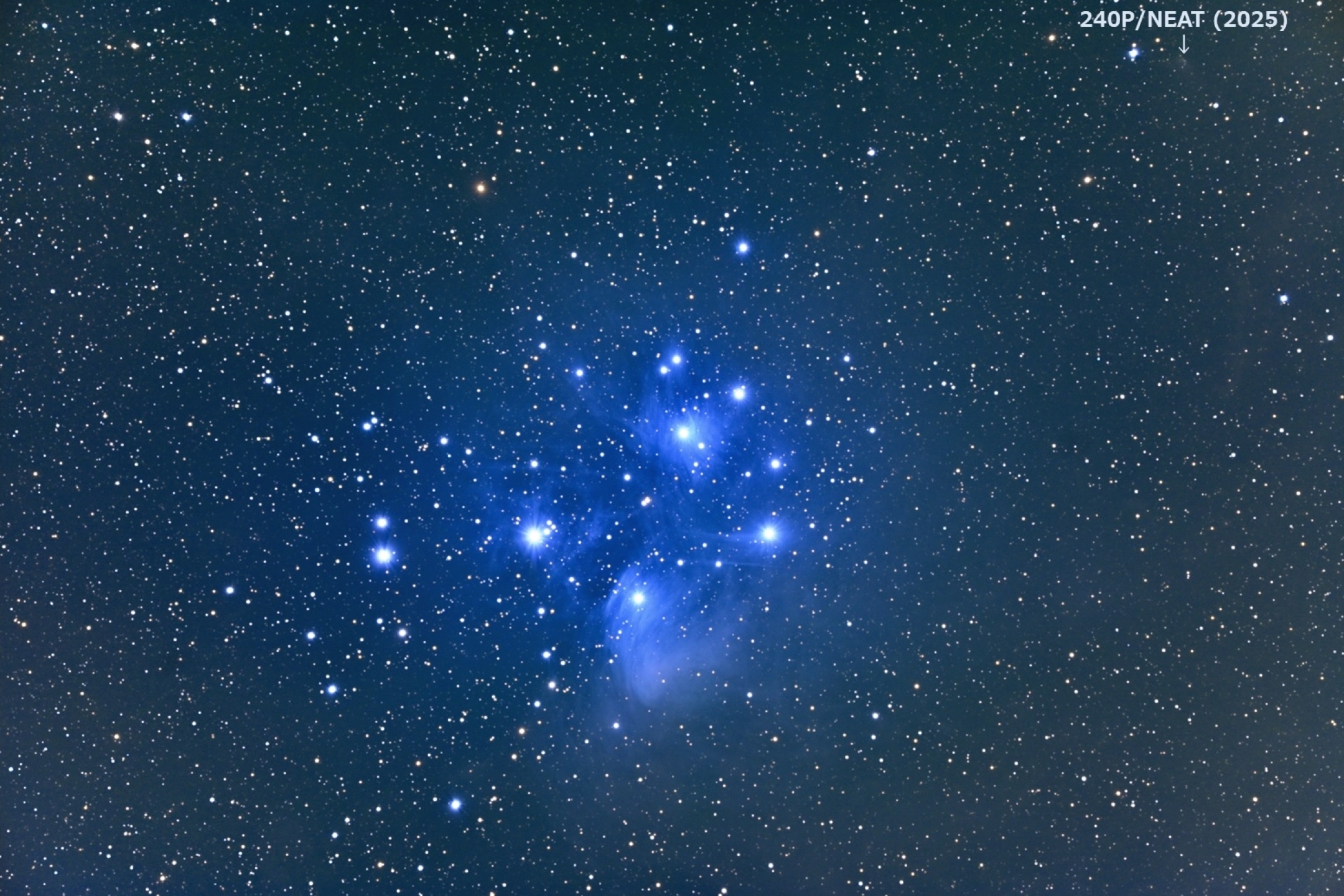 132495: ニート彗星（240P）とプレアデス星団 by takaoka - 天体