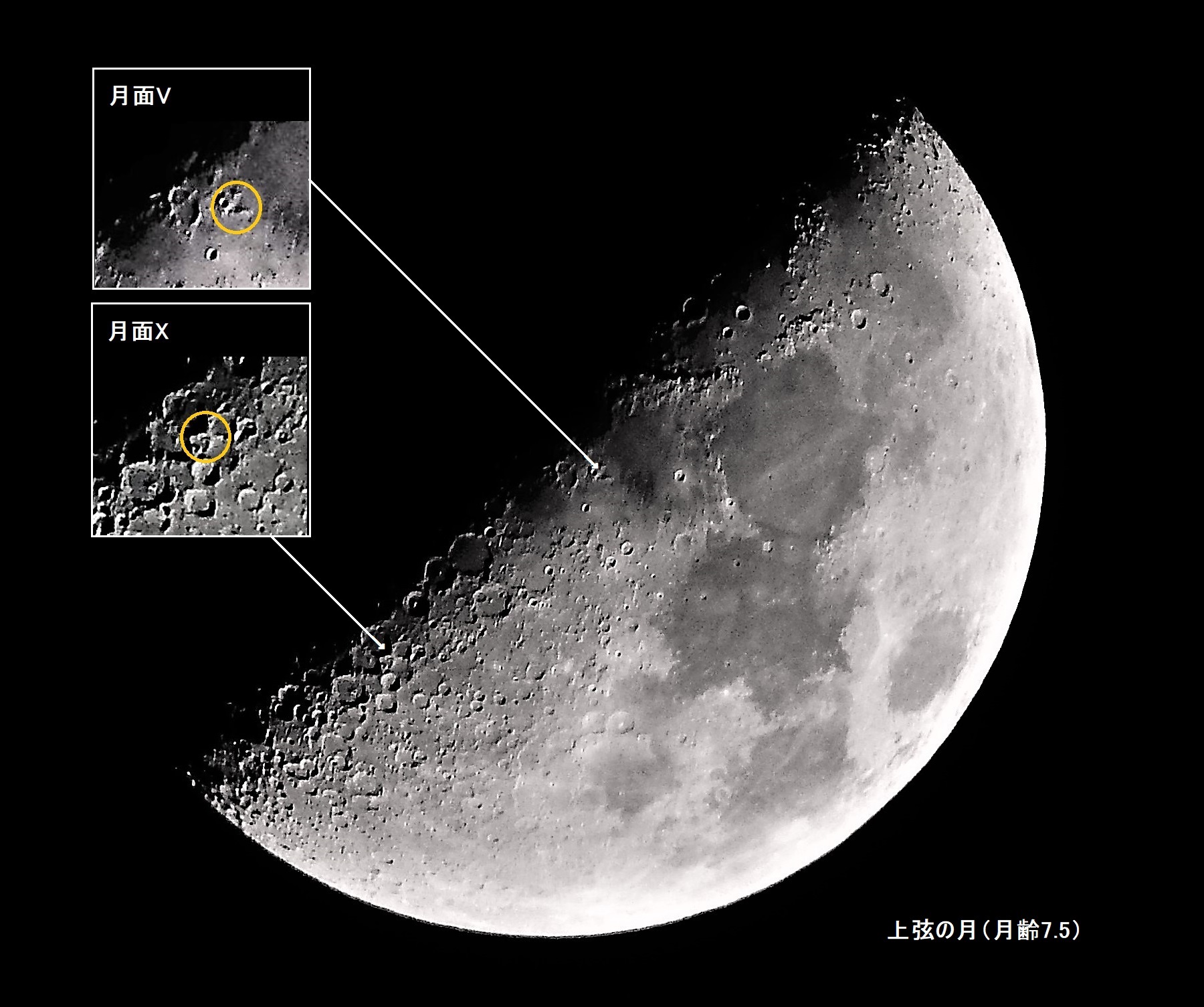 46060: 上弦の月（月面V／X） by エッチャン - 天体写真ギャラリー