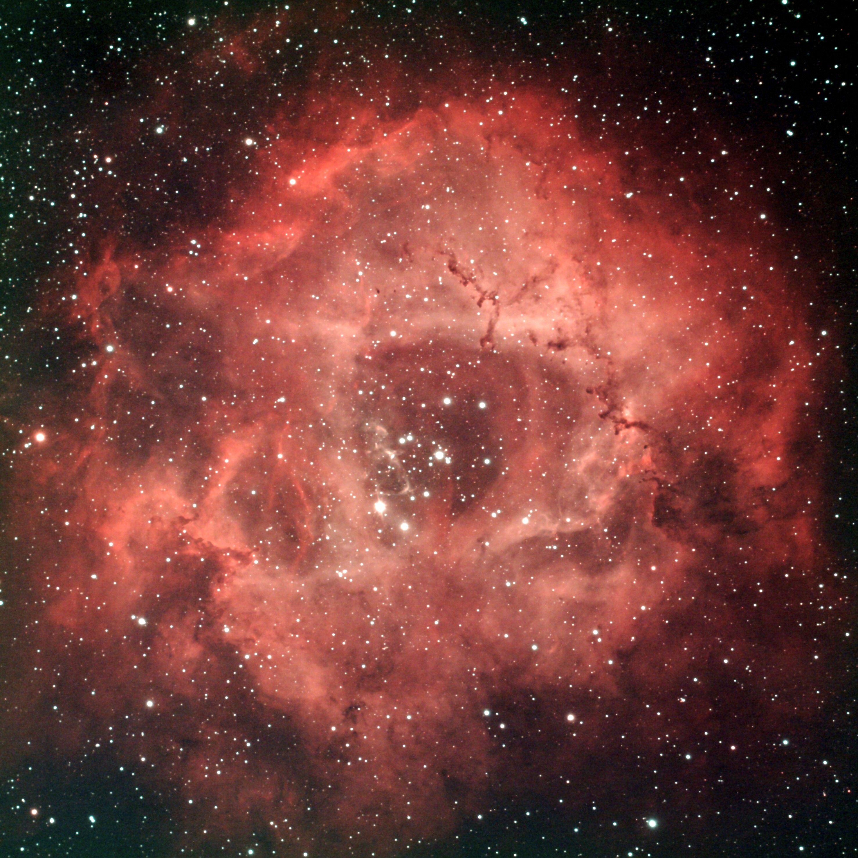 100432: バラ星雲 by mistymohi - 天体写真ギャラリー