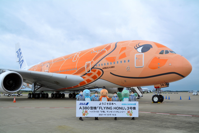 ANA「空飛ぶウミガメ」3号機、成田に到着 1・2号機との違いは [千葉県