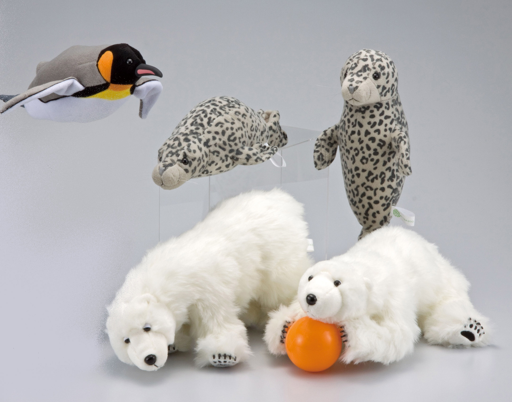 旭山動物園公式グッズ 動物図録