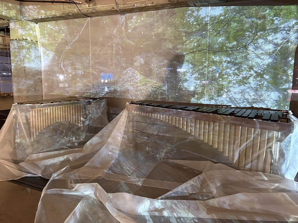 打楽器奏者鈴木彩さんのソロコンサート「Winged Seeds～翼果