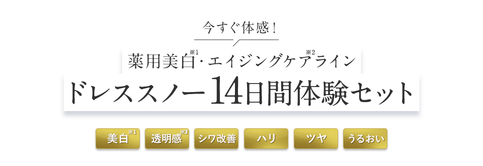 Attenir【アテニア】ドレススノー｜新雪のような透明ハリ肌へ