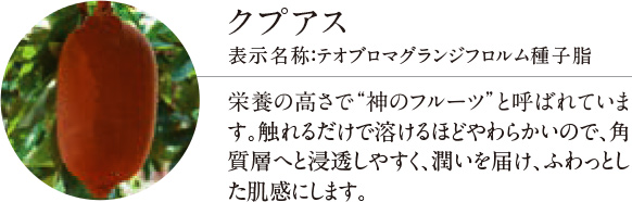 セルペネ ジェルバーム - 製品紹介 | 株式会社アトコントロール