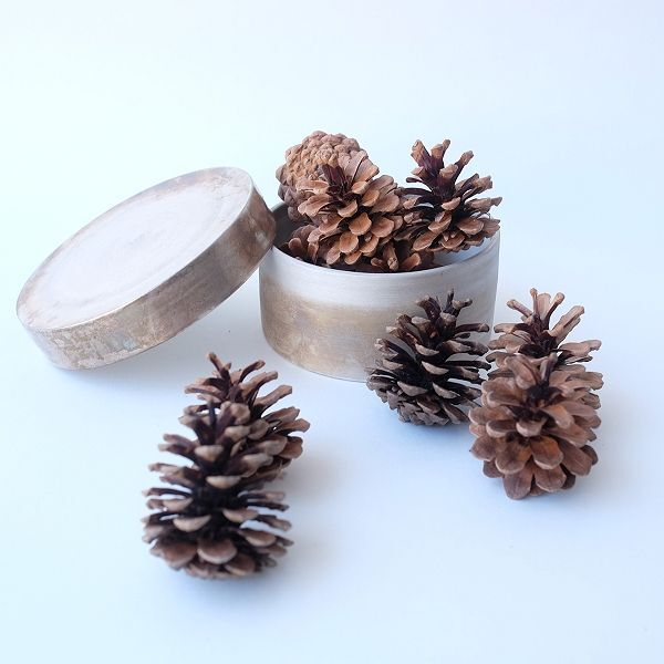 Dry plants for decor デコール用乾燥松ぼっくり（3個入） - 流木素材