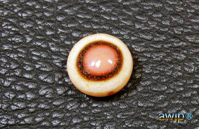 天眼石・天眼珠 - 羊眼板珠と鳳眼珠 羊眼珠 | チベット天珠専門店 awjp