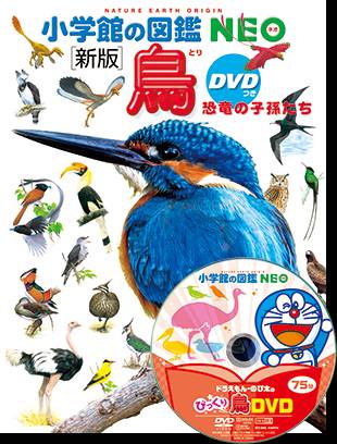 鳥 恐竜の子孫たち 小学館の図鑑NEO ＜BMSHOP＞