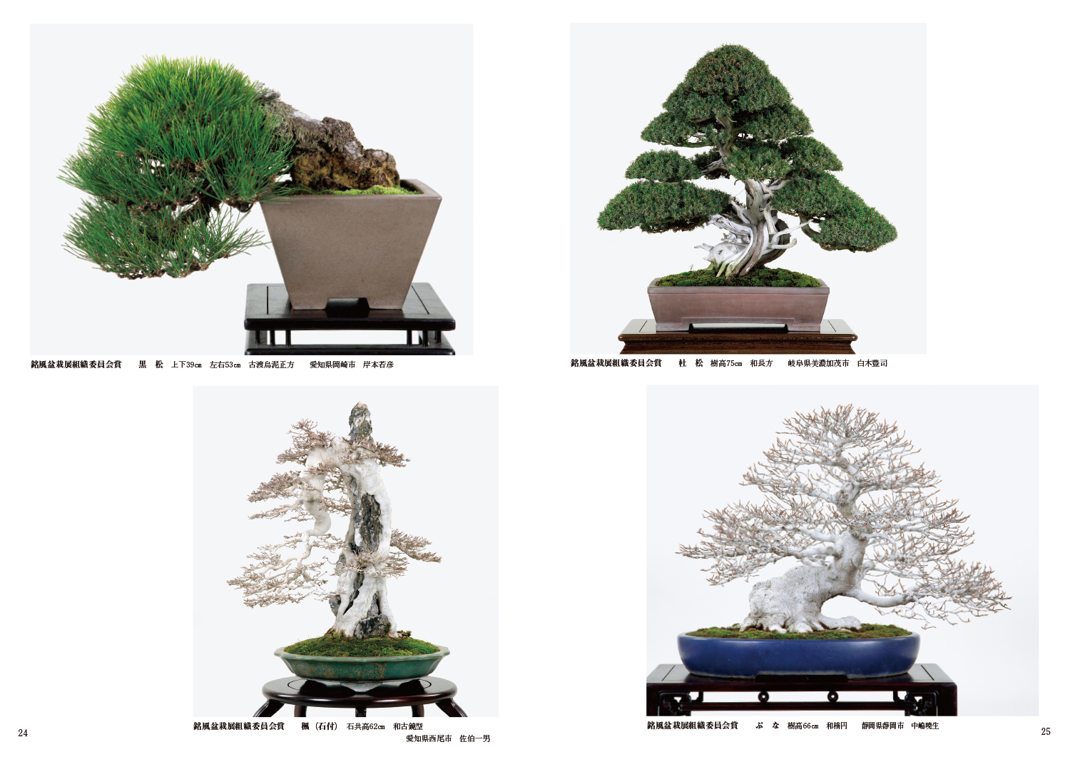 第91回 銘風盆栽展 記念帖 | 盆栽、盆栽書籍、盆栽鉢の通販│近代出版
