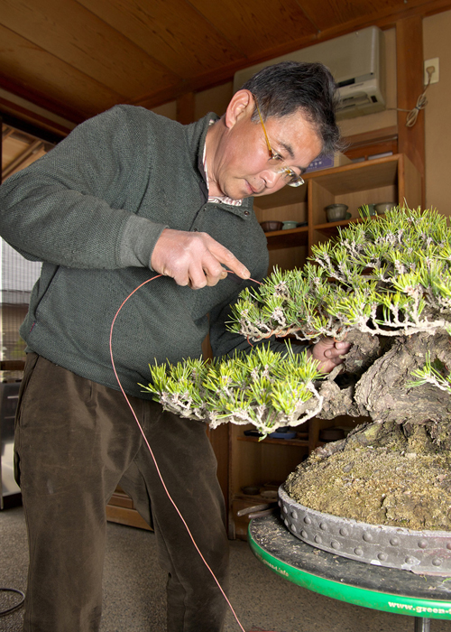 油圧式回転作業台Green-T（丸型プラス） | 盆栽、盆栽書籍、盆栽鉢の