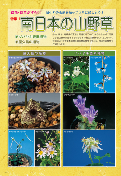 隔月刊「山野草とミニ盆栽」17年陽春号 | 盆栽、盆栽書籍、盆栽鉢の