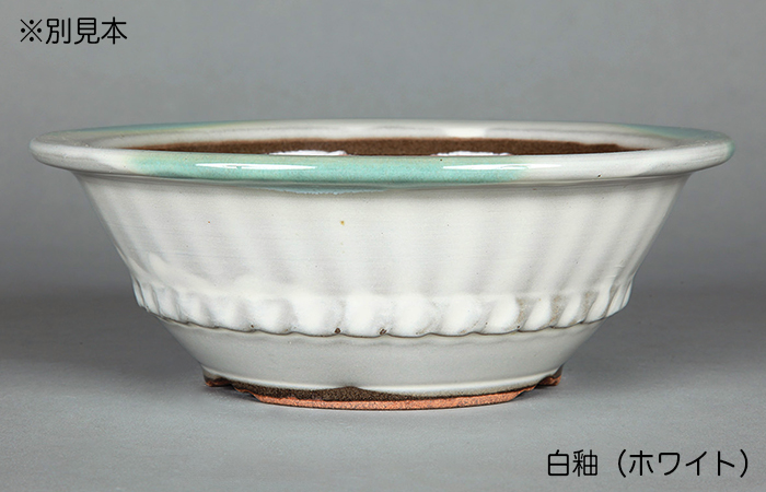 小石原焼7号胴縄丸鉢 | 盆栽、盆栽書籍、盆栽鉢の通販│近代出版