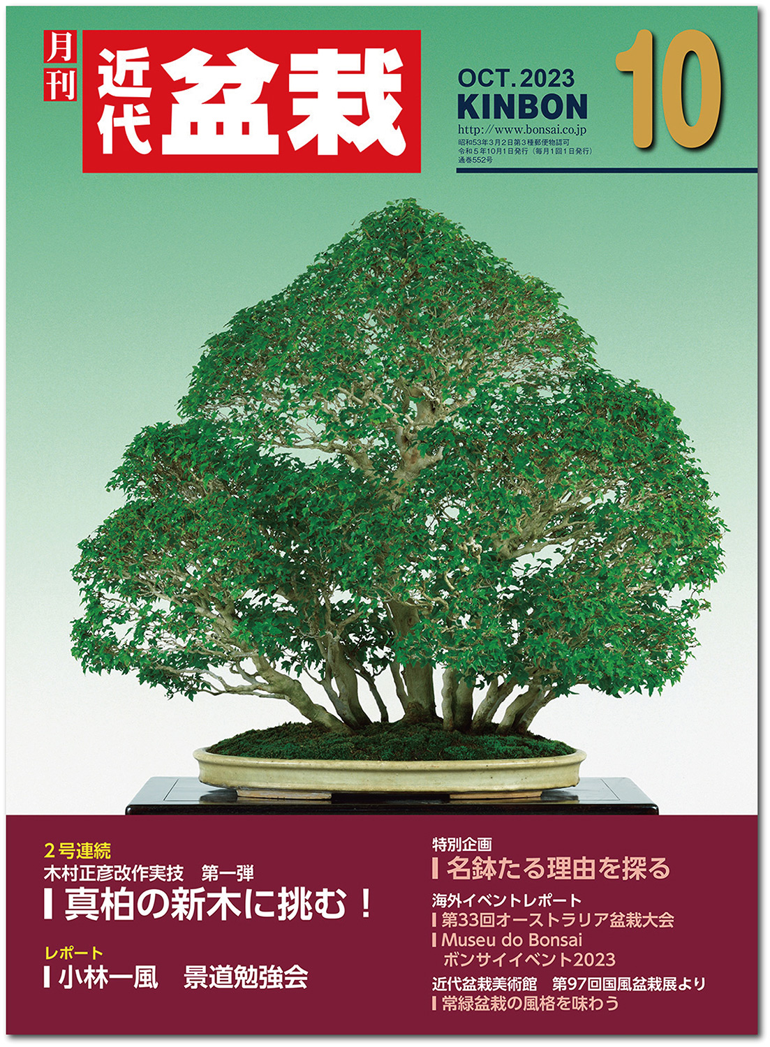 支那鉢（中国古鉢） | 盆栽、盆栽書籍、盆栽鉢の通販│近代出版