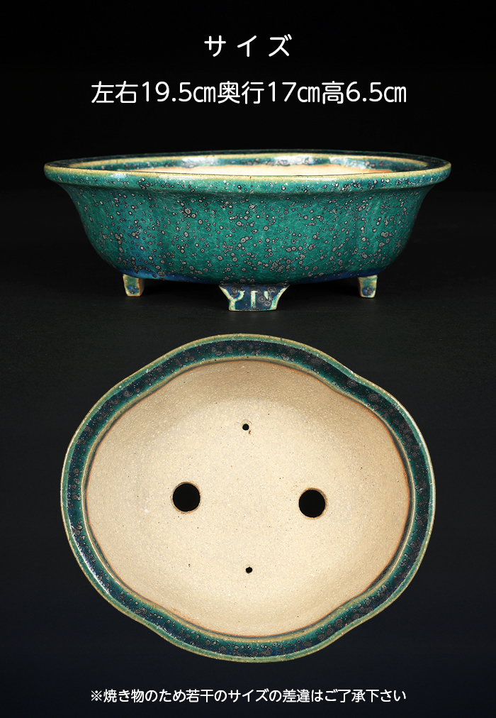 鴻陽織部釉木瓜式鉢 | 盆栽、盆栽書籍、盆栽鉢の通販│近代出版