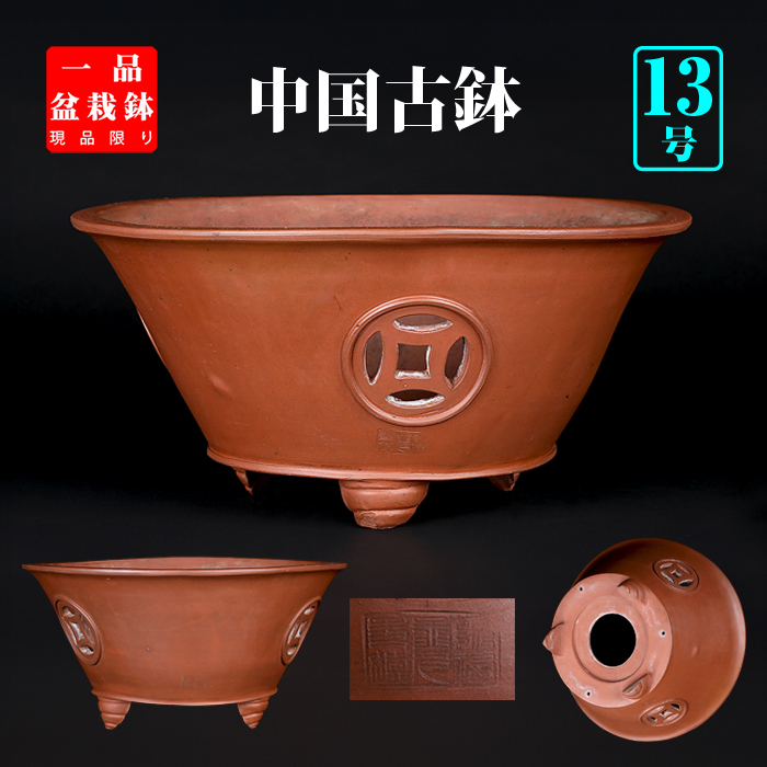 支那鉢（中国古鉢） | 盆栽、盆栽書籍、盆栽鉢の通販│近代出版