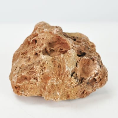 木化石(もくかせき) を販売｜盆栽妙 – 盆栽妙 本店