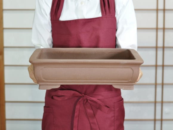 紫泥長方撫角 盆栽鉢 11号 鉢幅35cm×奥行き26cm×高さ10cm を販売｜盆栽