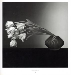 PISTILS / Robert Mapplethorpe | 小宮山書店 KOMIYAMA TOKYO | 神保町