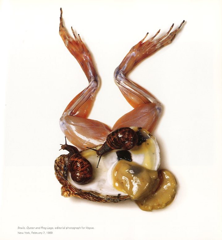 STILL LIFE Irving Pen / Author: Irving Penn Foreword: John