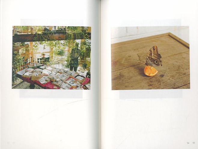 Alec Soth: Gathered Leaves / 写真：アレック・ソス 編：神奈川県立