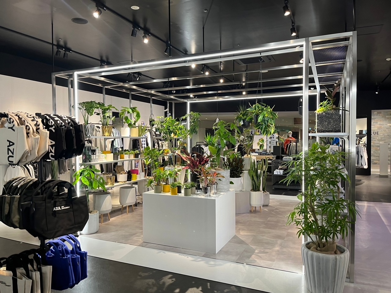 商業施設・百貨店内装工事 BOSCO ボスコ | AZUL BY MOUSSY | 実績