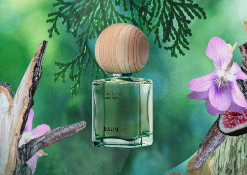 BAUM EAU DE TOILETTE HINOKI FOREST｜MIND｜PRODUCTS｜BAUM（バウム）