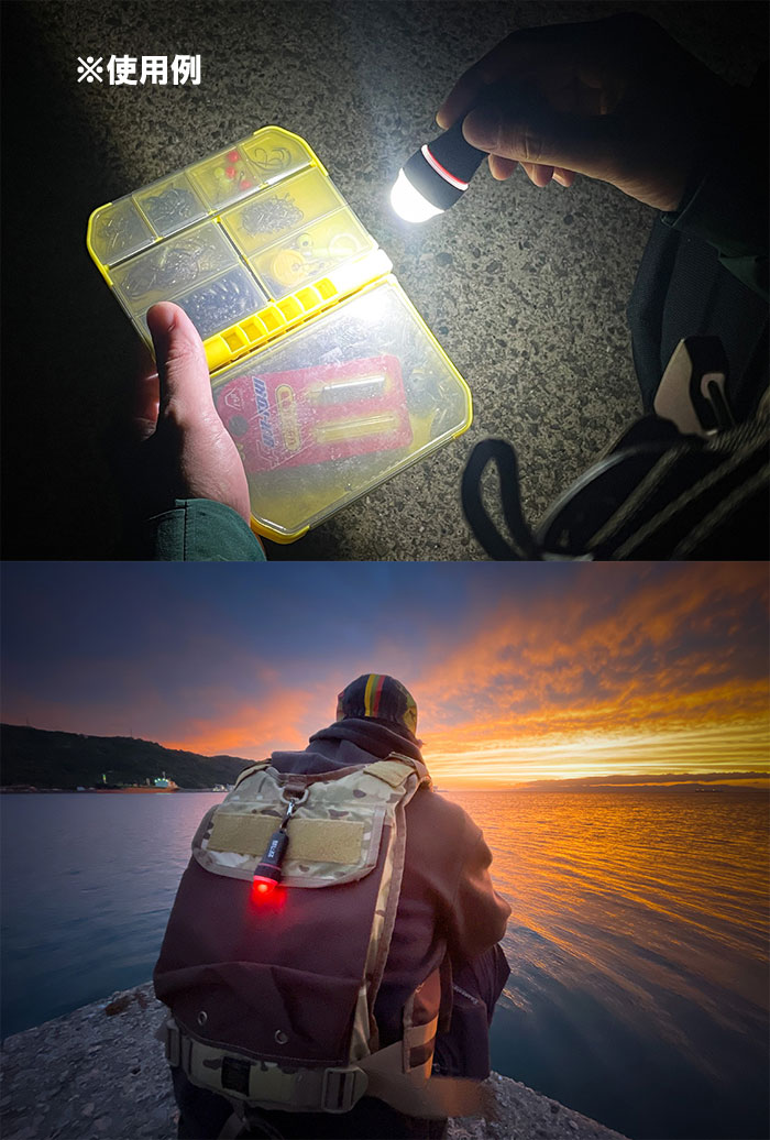 ゼクサス ゼクサスLEDライト ZX-135 フラッシャー 後部認識灯 ZEXUS