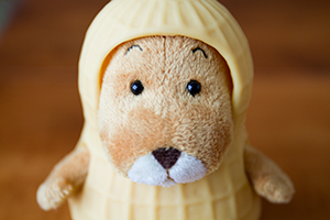 らくちゃん – 休憩所