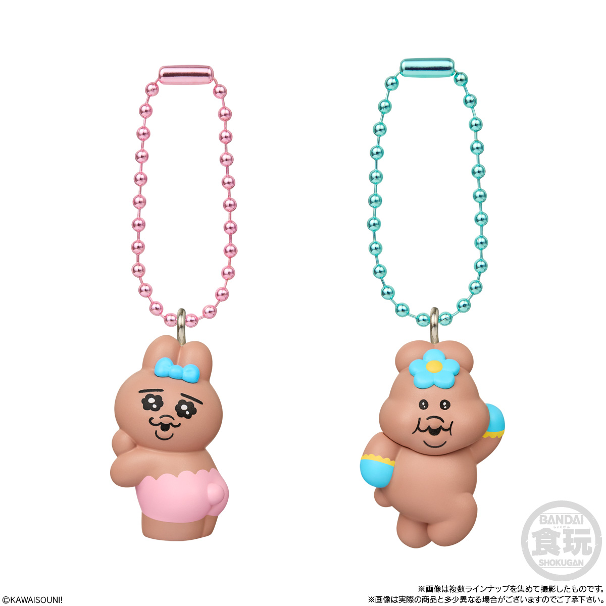 おぱんちゅうさぎ×んぽちゃむ チョコがけビスケット マスコットつき