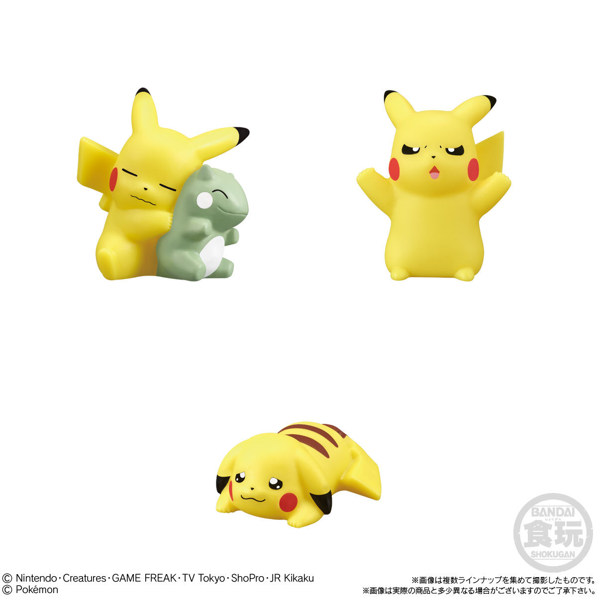 ポケモンキッズ ピカチュウピカピカ大集合！編｜発売日：2021年5月31日