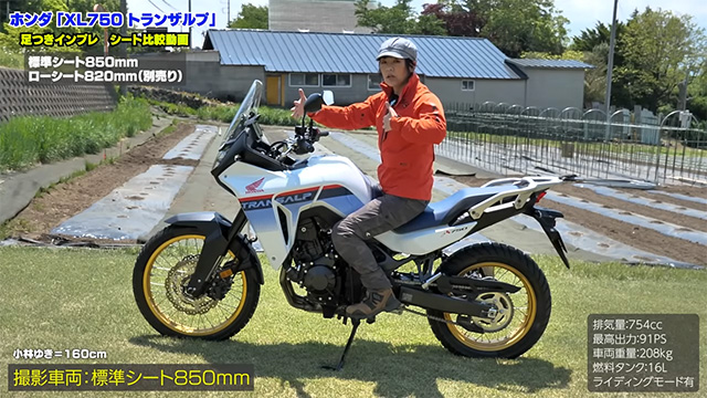 HONDA「XL750トランザルプ」足つきインプレ！｜BDS Report