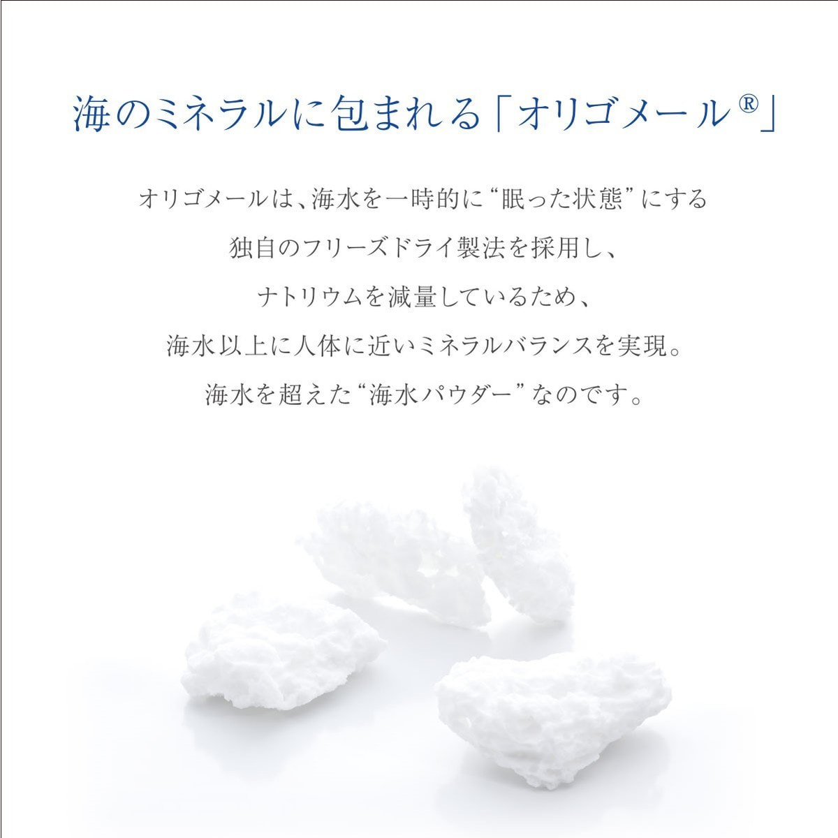 フィトメール オリゴメール ピュア SP 2kg【業務用】の卸・通販