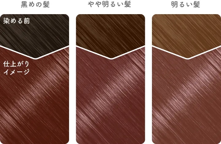 ホイップヘアカラー（泡タイプ） | 【公式】ビューティラボ