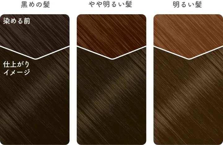 ホイップヘアカラー（泡タイプ） | 【公式】ビューティラボ