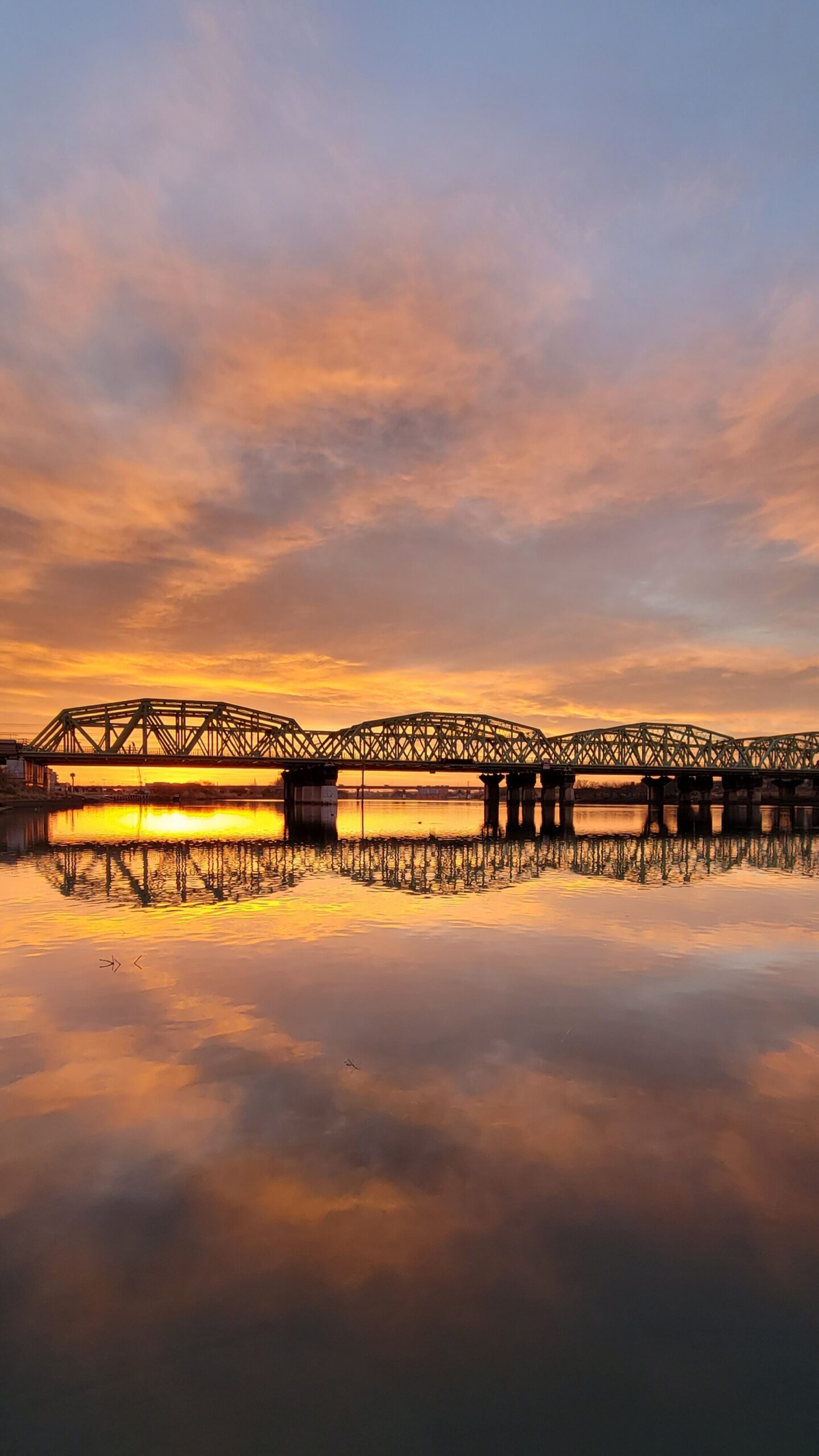小王自由様向け 270 油絵/風景/街景/東京/荒川/土手より/P15号 小王